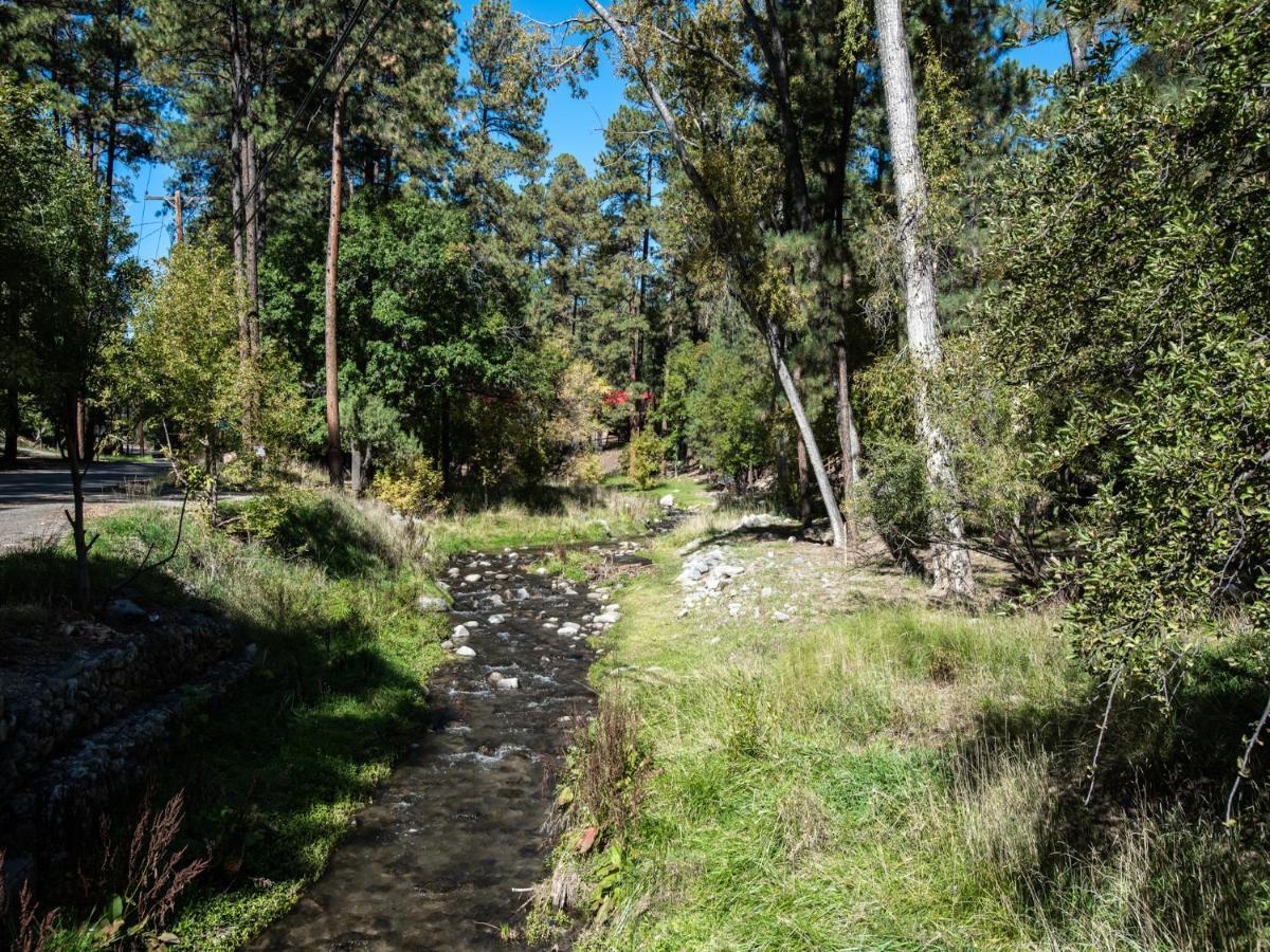 Apache Village 2, King Studio, Midtown, Sleeps 2 Ruidoso Ngoại thất bức ảnh